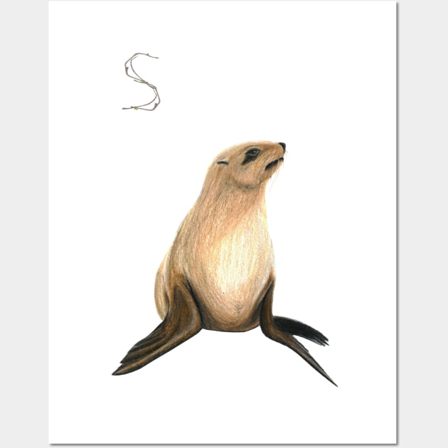 S for seal alphabet illustration, pencil illustration from my alphabet series Wall Art by DamiansART